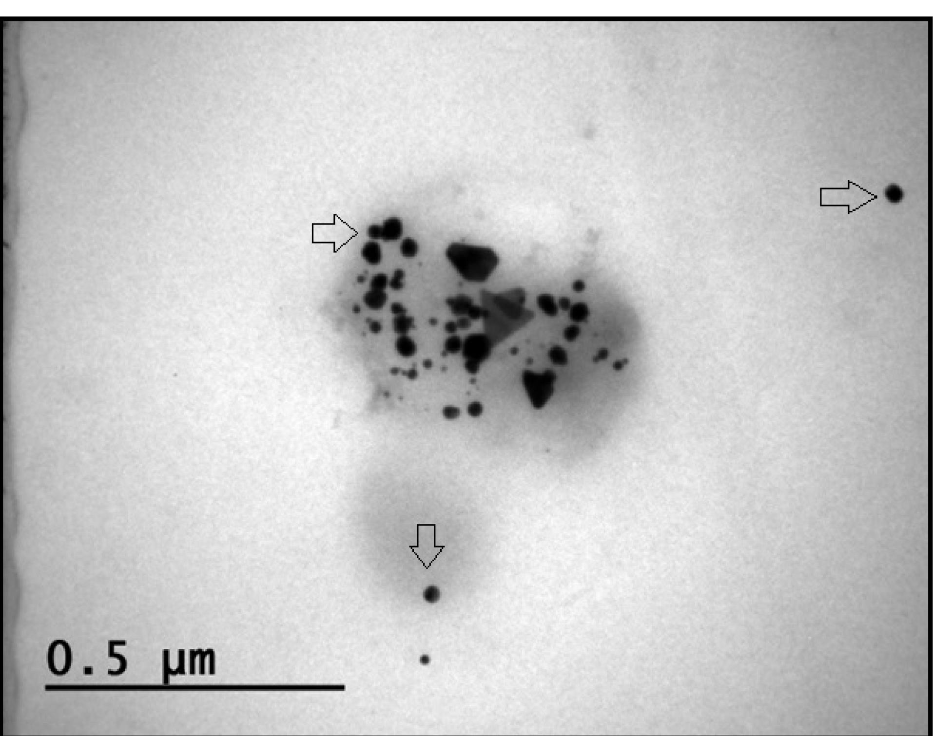 ija-1-e23-g003